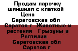 Продам парочку шиншилл с клеткой › Цена ­ 6 000 - Саратовская обл., Саратов г. Животные и растения » Грызуны и Рептилии   . Саратовская обл.,Саратов г.